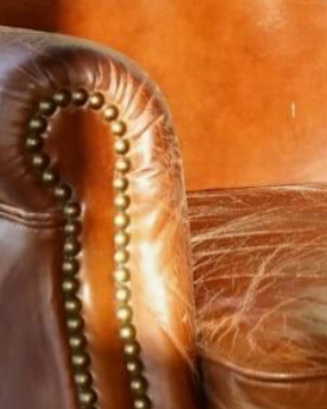 Essay No. 1: The Long View